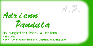 adrienn pandula business card